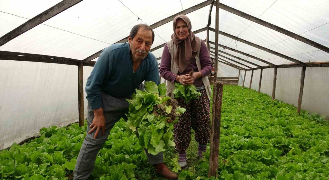 Ordu’da Çiftçi Çiftin Yol Kenarındaki Marul Satışı