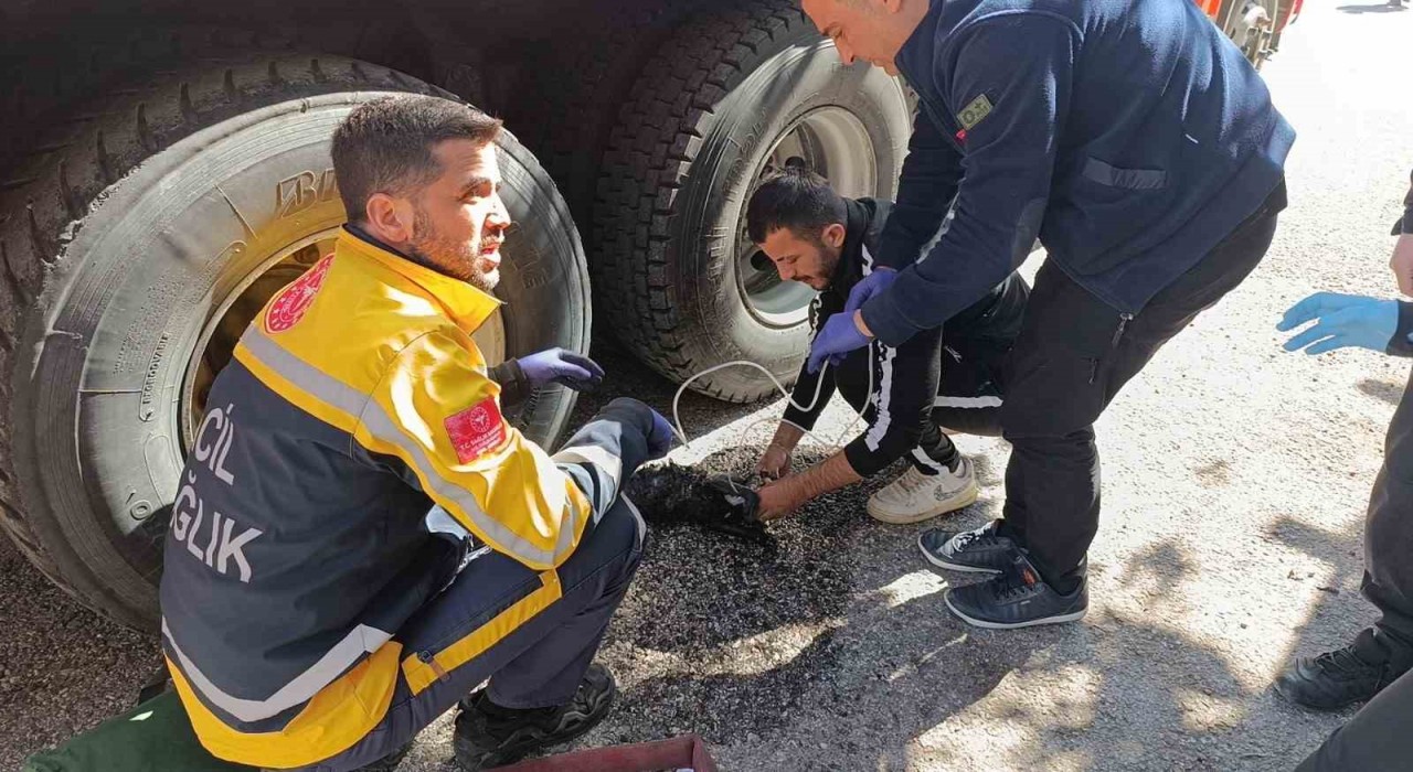 Ev yangınında 2 kişi çatıdan kurtarıldı, yanan kedilere oksijen maskesiyle müdahale edildi
