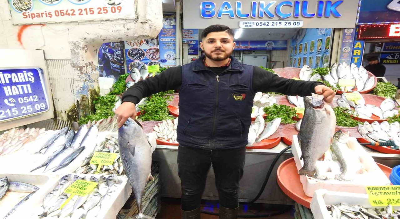 Gaziantepte tezgahlar Ramazan öncesi balık çeşitleriyle şenlendi