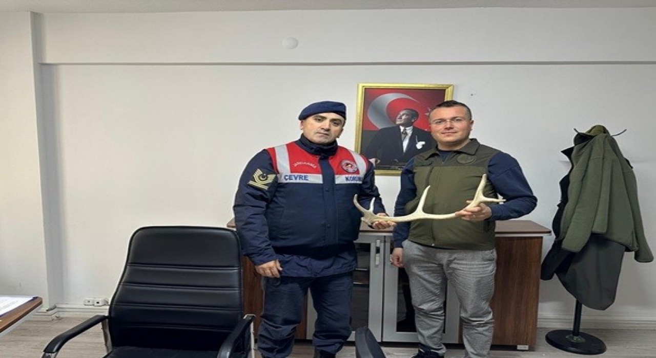 Geyik boynuzu satan şahıs jandarma tarafından yakalandı