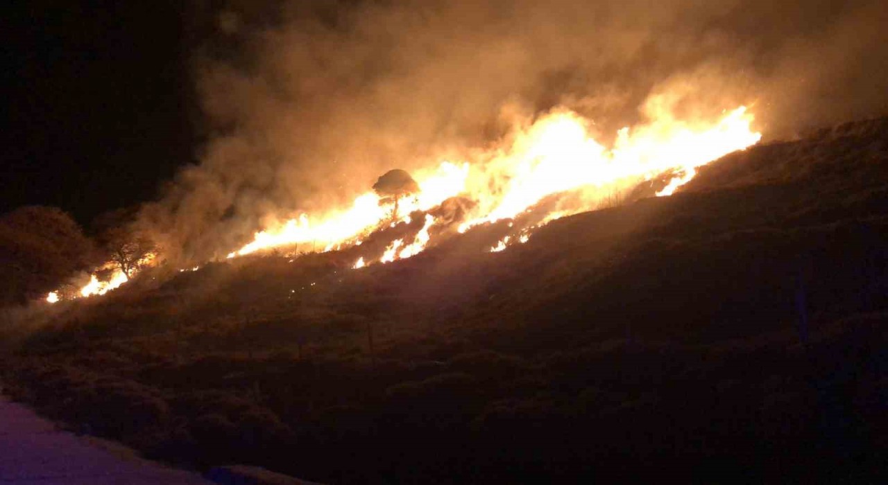 Gökçeadada otluk alanda korkutan yangın