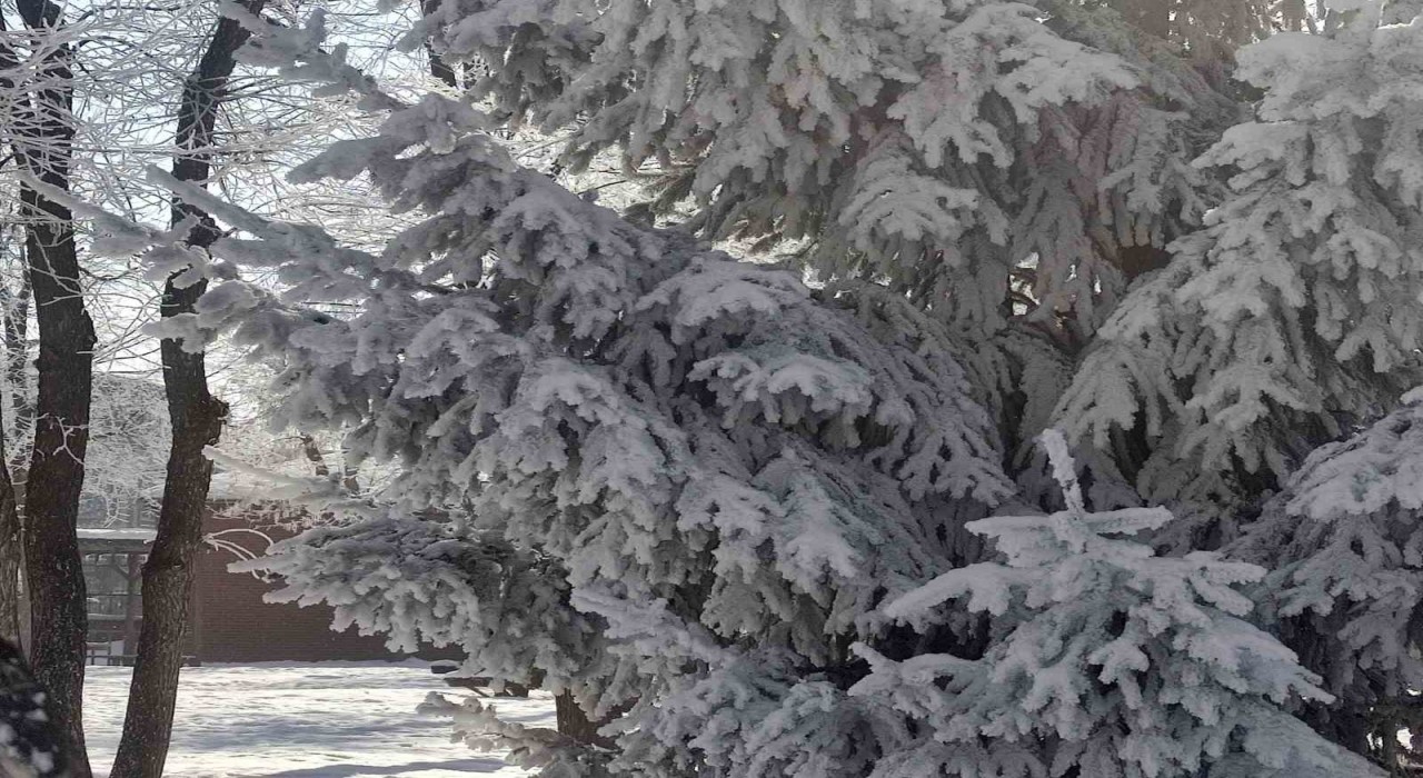 Gölede hava eksi 27,7 derece: Araçlar soğuktan çalışmadı