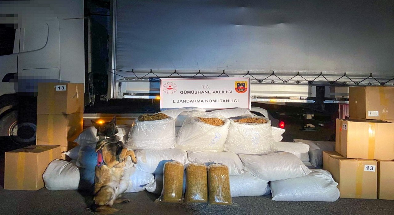 Gümüşhanede Jandarma ekipleri 644 kilogram kaçak tütün ele geçirdi