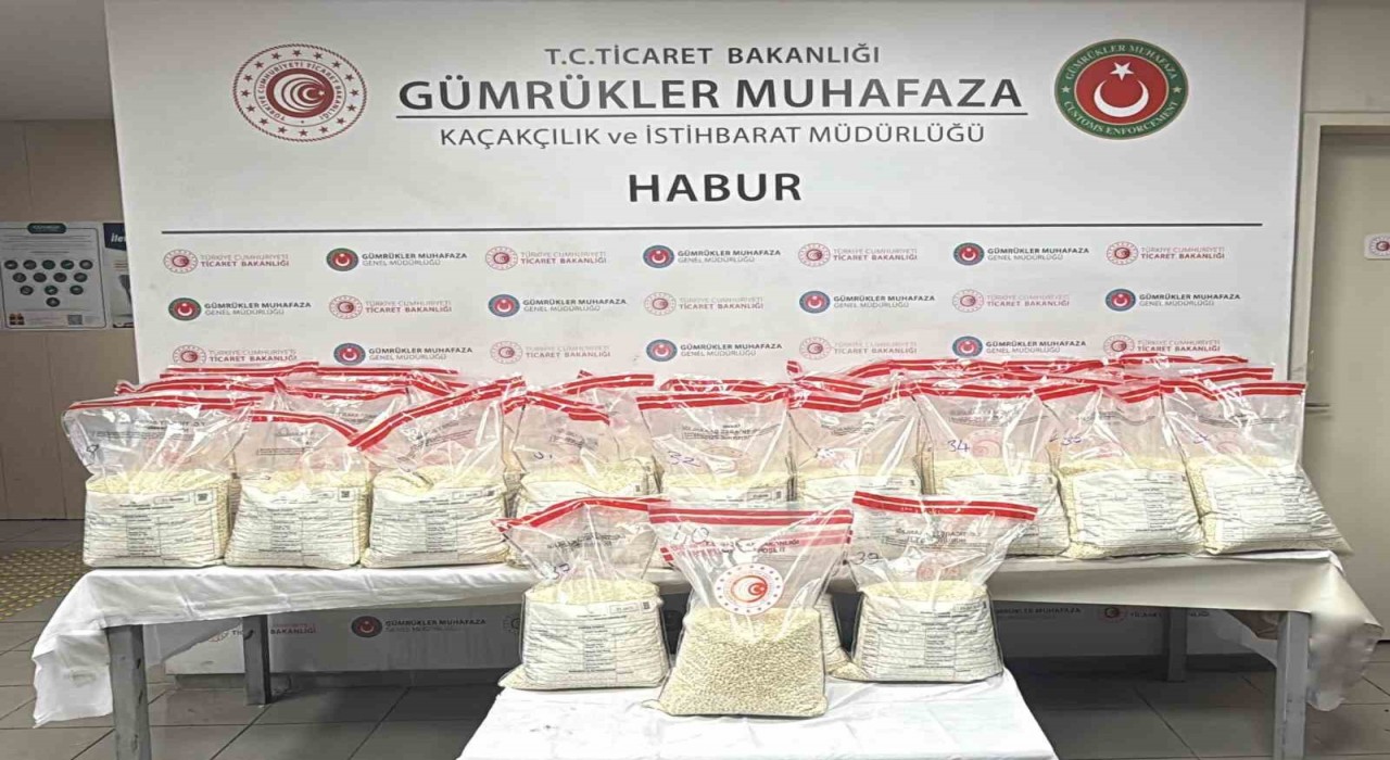 Habur Gümrük Kapısında 370 kilo uyuşturucu madde ele geçirildi
