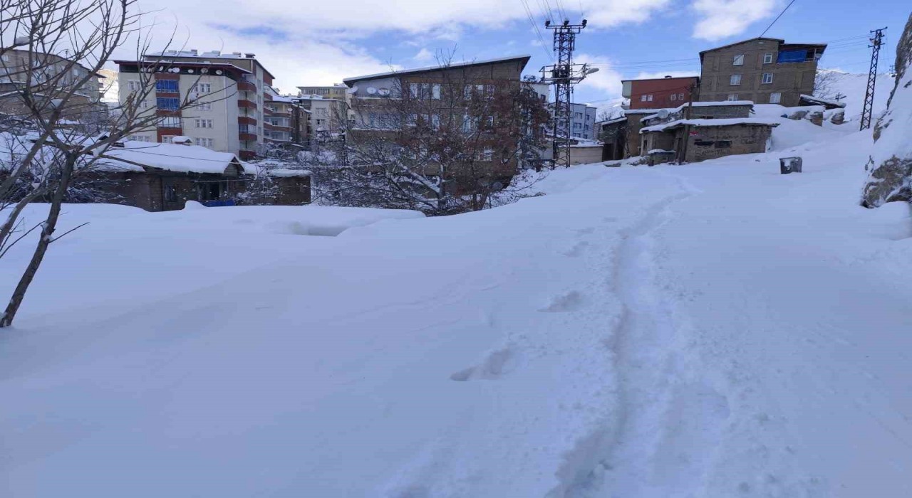 Hakkaride 18 köy ve 64 mezra yolu ulaşıma kapandı