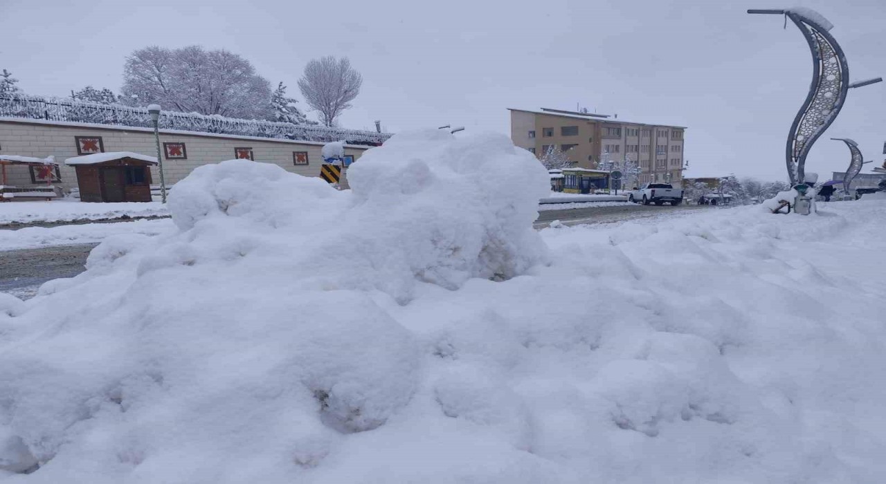 Hakkaride kar yağışı: 168 yerleşim yerinin yolu kapandı