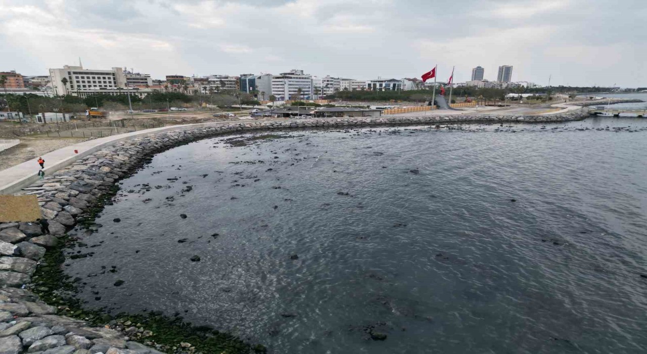 İskenderun Körfezinde denizde çekilme yaşandı