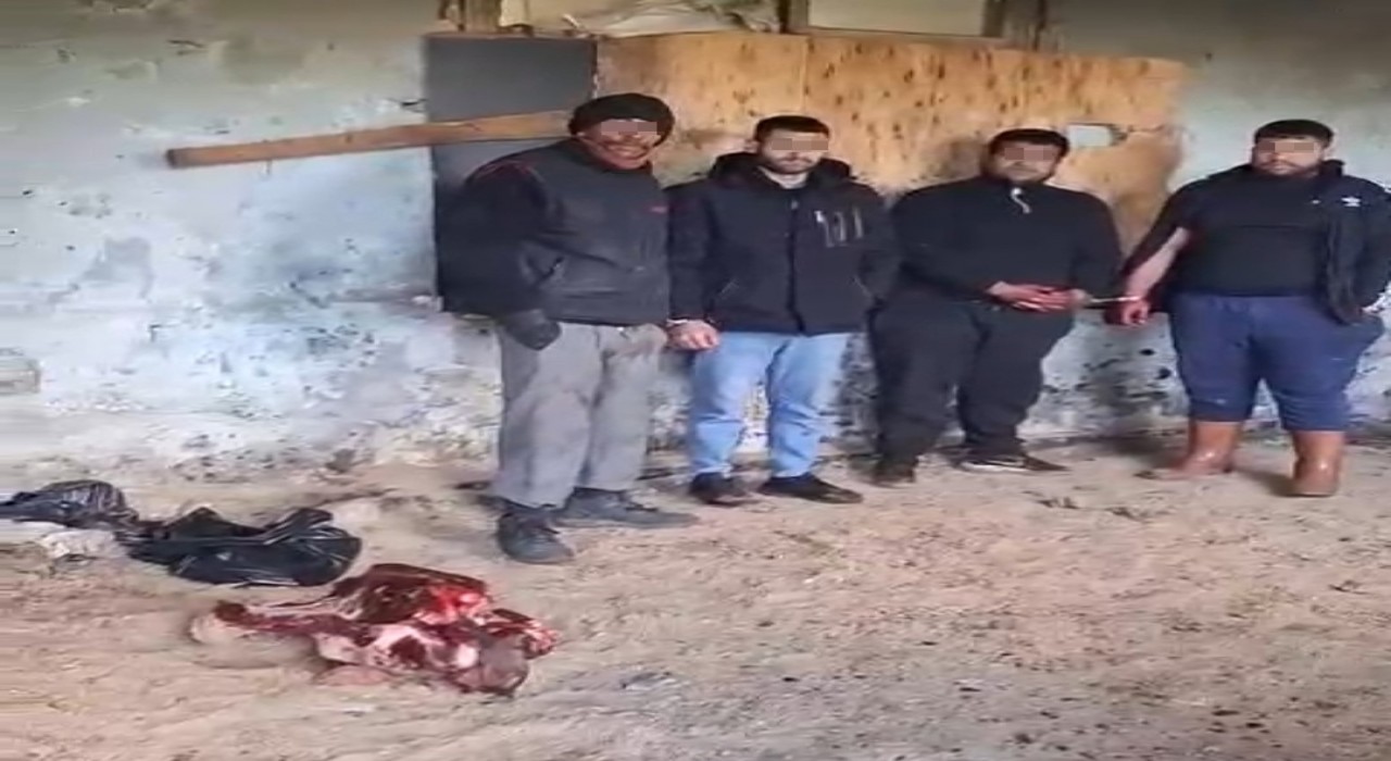 İzmirde at eti keserken suçüstü yakalandılar