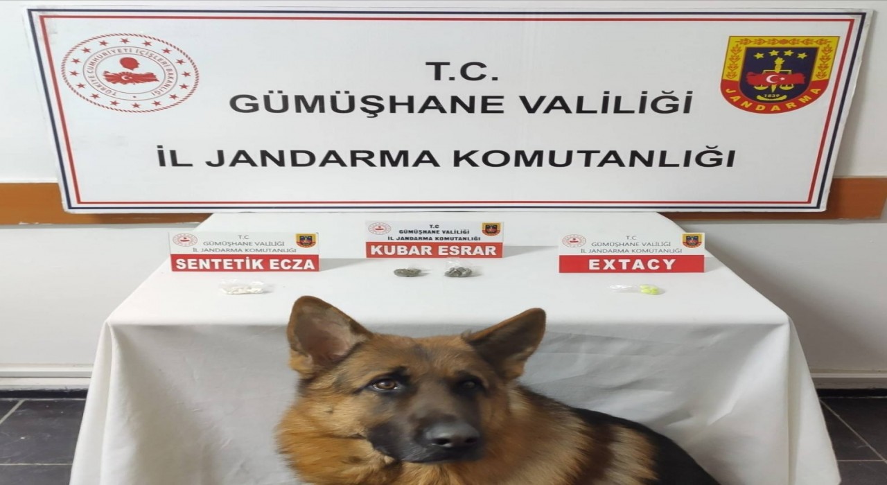 Jandarma, Rizeden Gümüşhaneye uyuşturucu getirenleri yakaladı