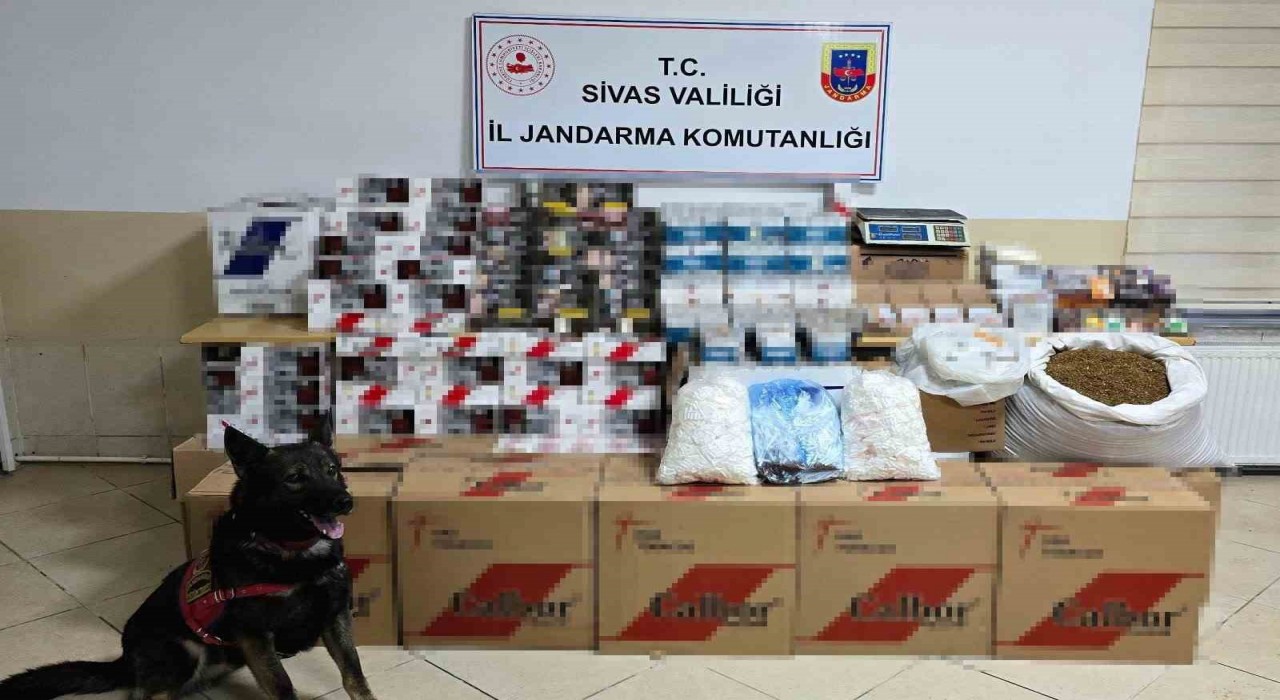 Jandarmadan kanunsuzluğa operasyon