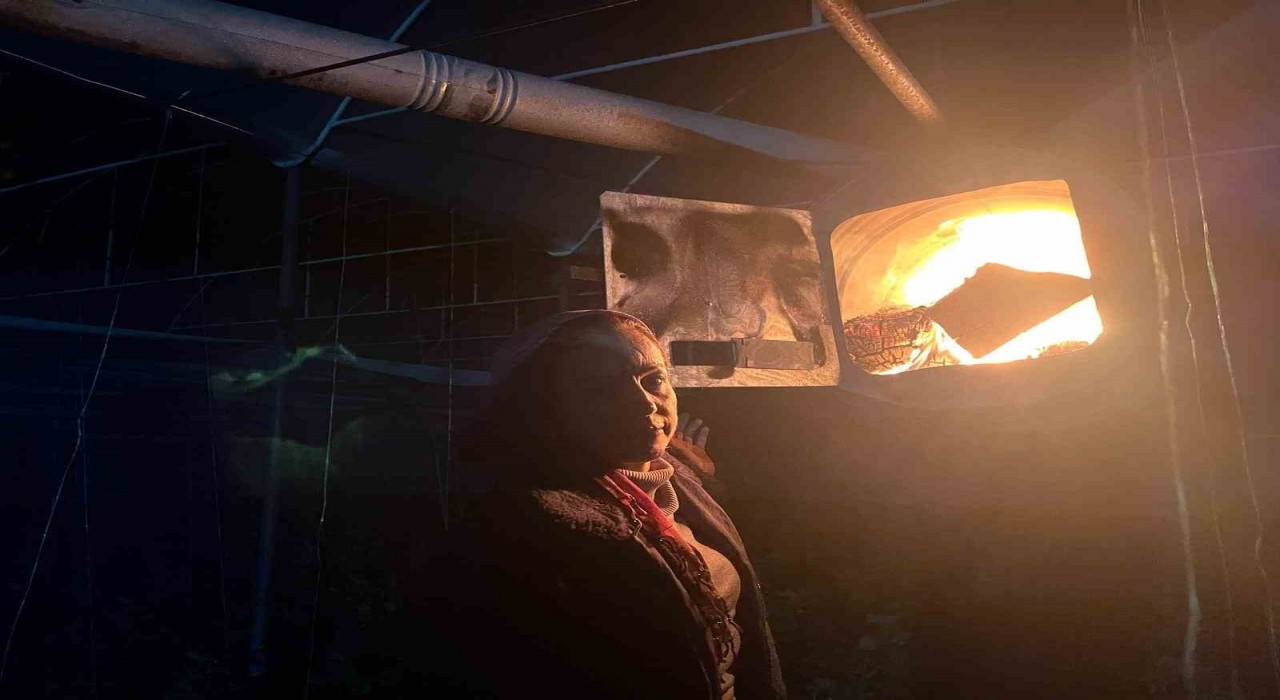 Kadın Üretici Gece Nöbeti Tutarak Salatalık Üretiyor