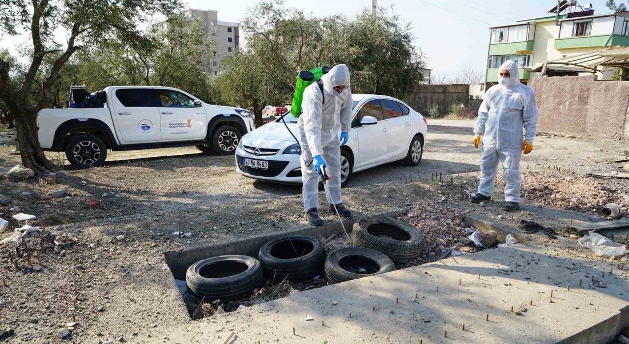 Kahramanmaraşta zararlılara karşı kış baskını