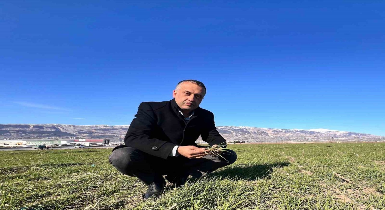 Kahramanmaraşta zirai don alarmı