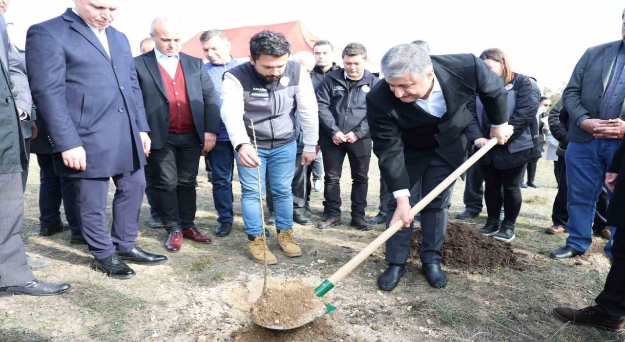 Karabükte sumak fidanları toprakla buluşturuldu
