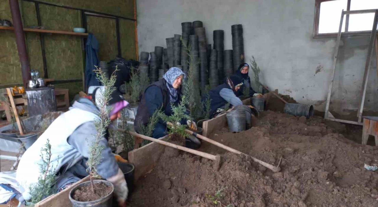 Karacabey Belediyesinden doğaya saygılı estetik çalışmalar