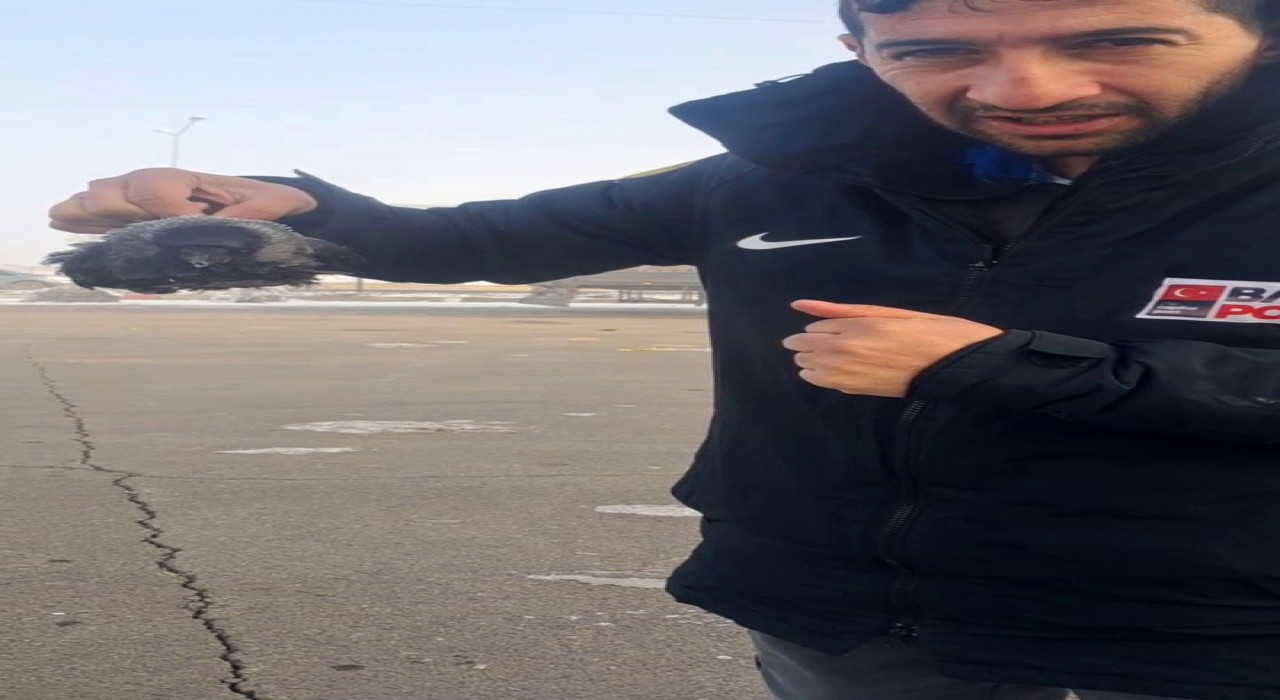 Karga soğuktan dondu