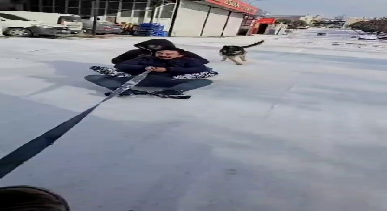 Kayak keyfi yapanlara eşlik eden köpek renkli görüntüler oluşturdu
