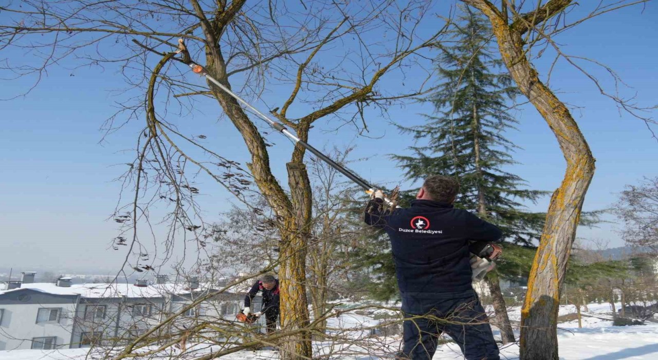 Kırılan dallarda temizlik başladı