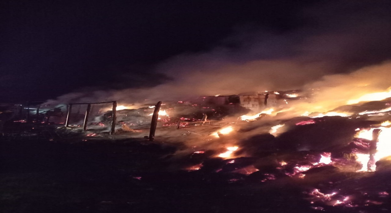 Kırklarelinde yangın paniği: Ağıl küle döndü