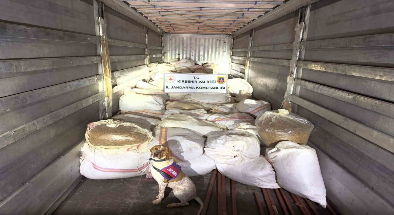 Kırşehirde 3 ton kıyılmış tütünle yakalanan tır sürücüsü tutuklandı