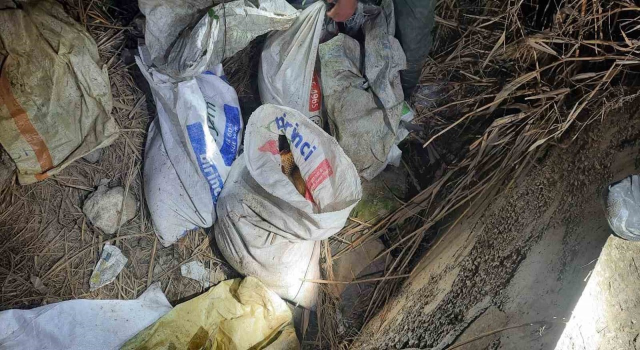 Kızılırmakta kaçak balık avlayan 2 şahsa suçüstü baskın