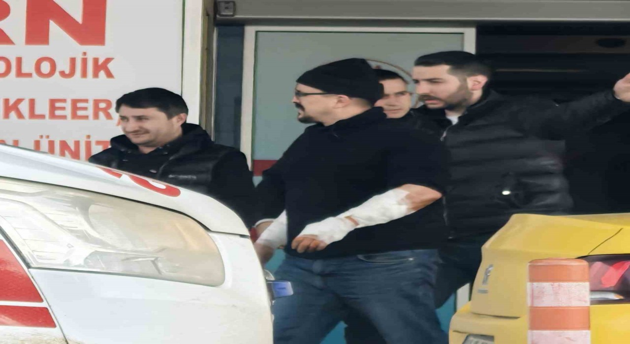 Köpek, kollarını parçaladı