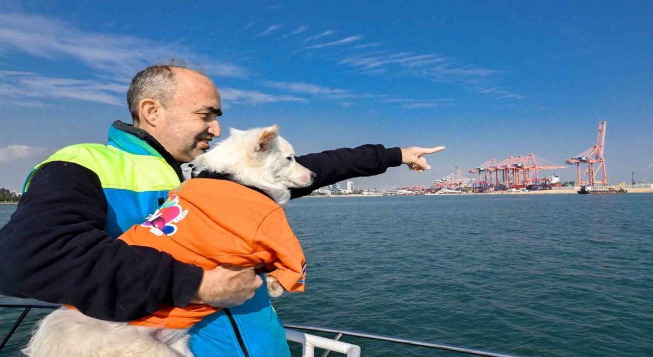 Köpük, belediye personeliyle birlikte deniz kirliliğine karşı mücadele ediyor