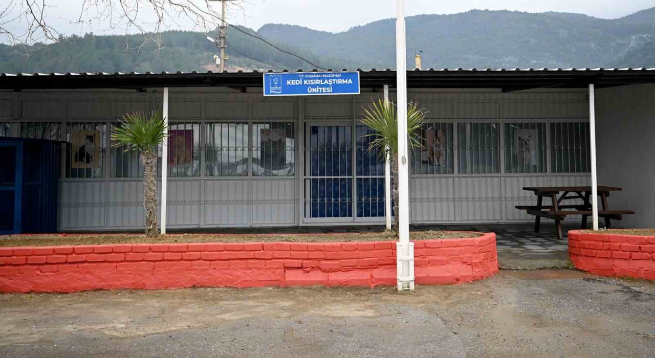 Kuşadasında Davutlar Kedi Kısırlaştırma Ünitesi için geri sayım başladı