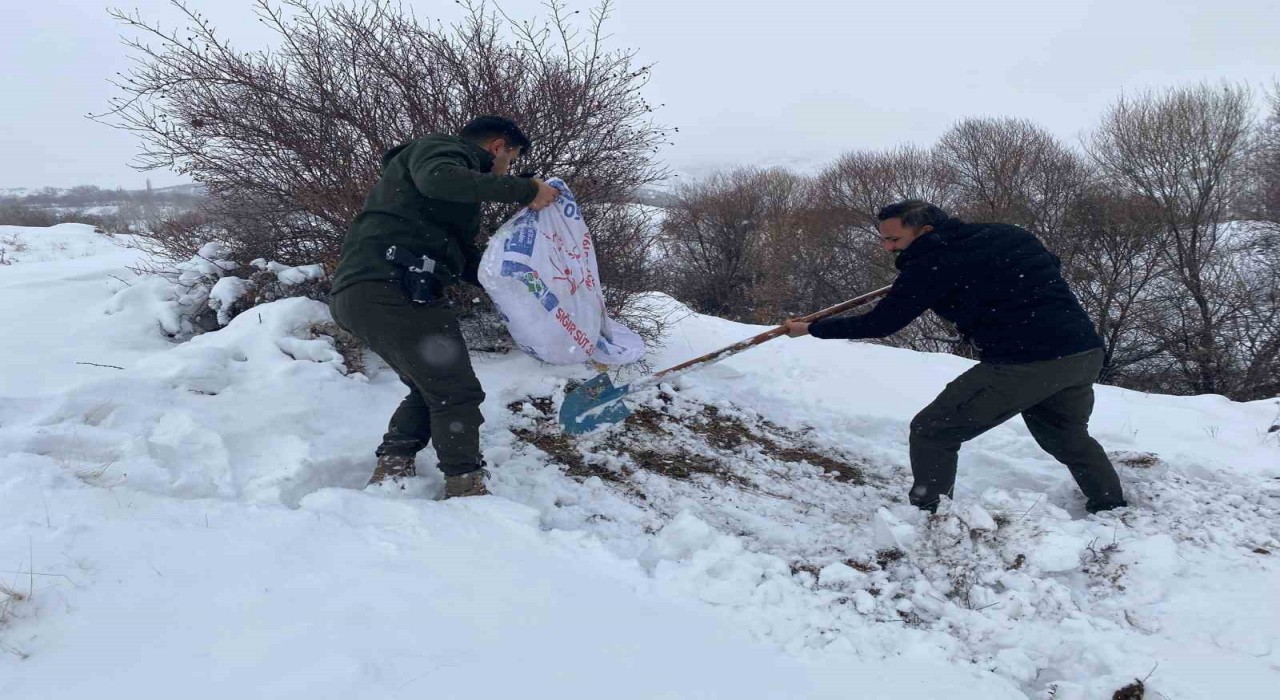 Malatyada yaban hayvanları için yemleme çalışması