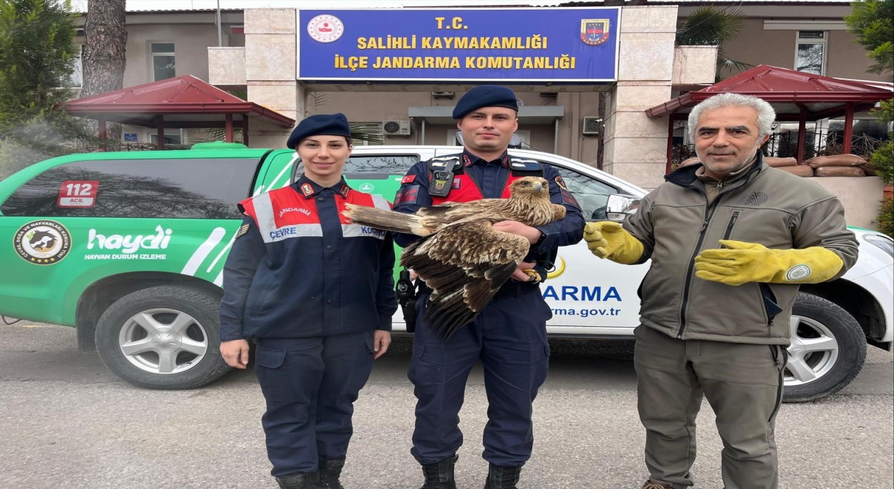Manisa jandarma Kızıl Şahine sahip çıktı