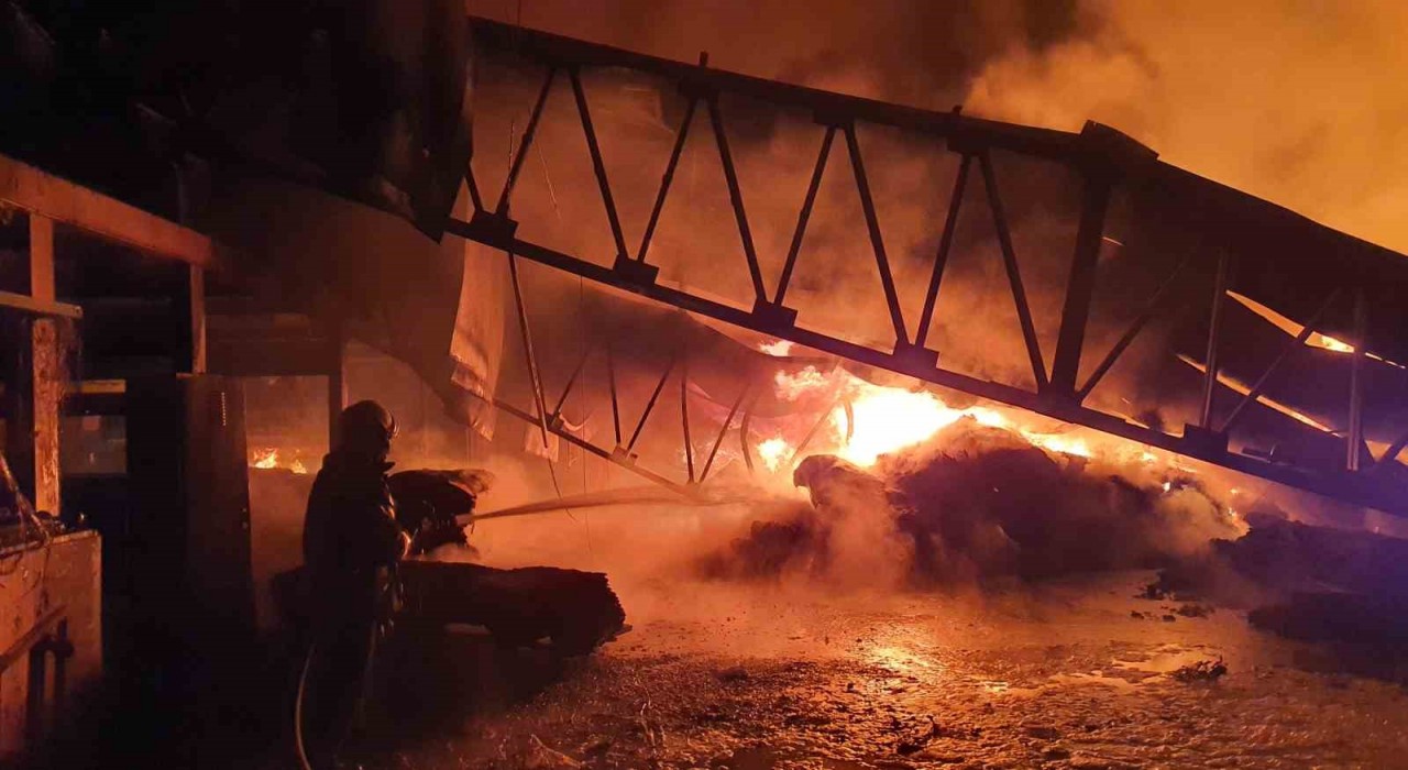 Manisada halı fabrikasında yangın
