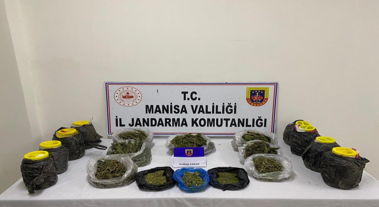 Manisada jandarmadan esrar operasyonu