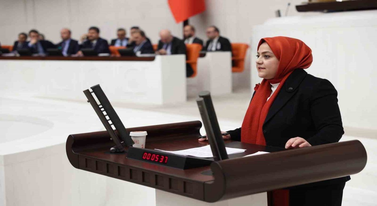Milletvekili Ün: Atanmış kişilere bu derece yetki tanınması siyasi suistimallere neden olabilir