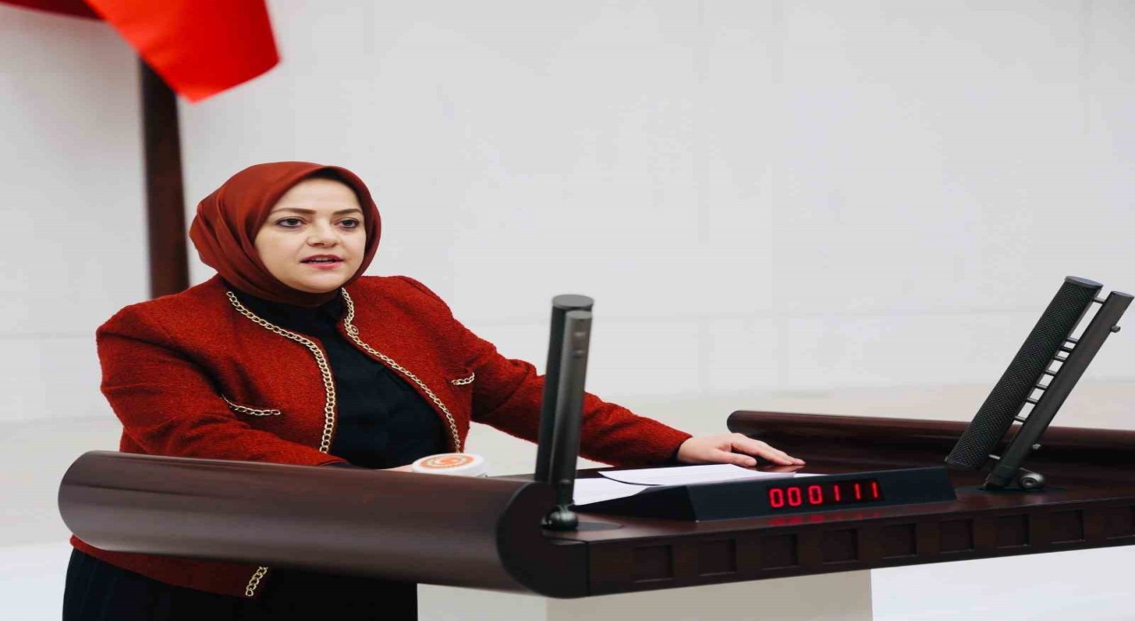 Milletvekili Ün: Tarımda modernizasyon olmazsa, üretim yapacak çiftçi kalmayacak