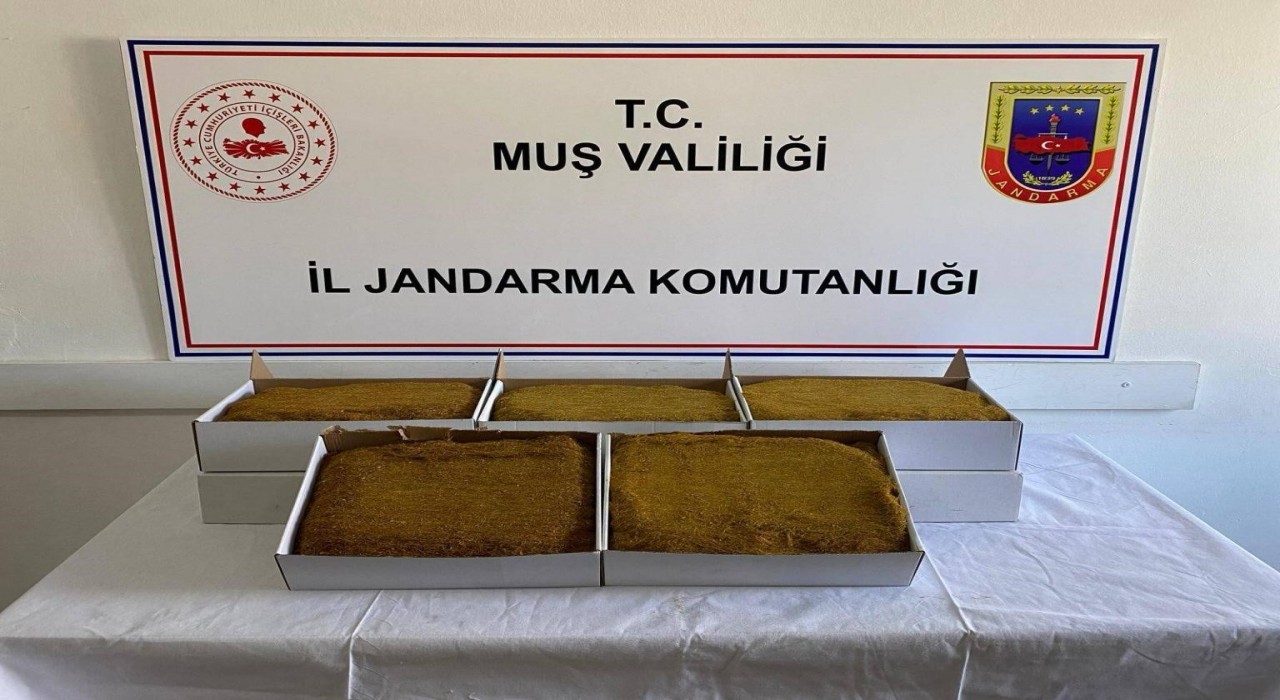 Muşta aranan 199 şahıs yakalandı