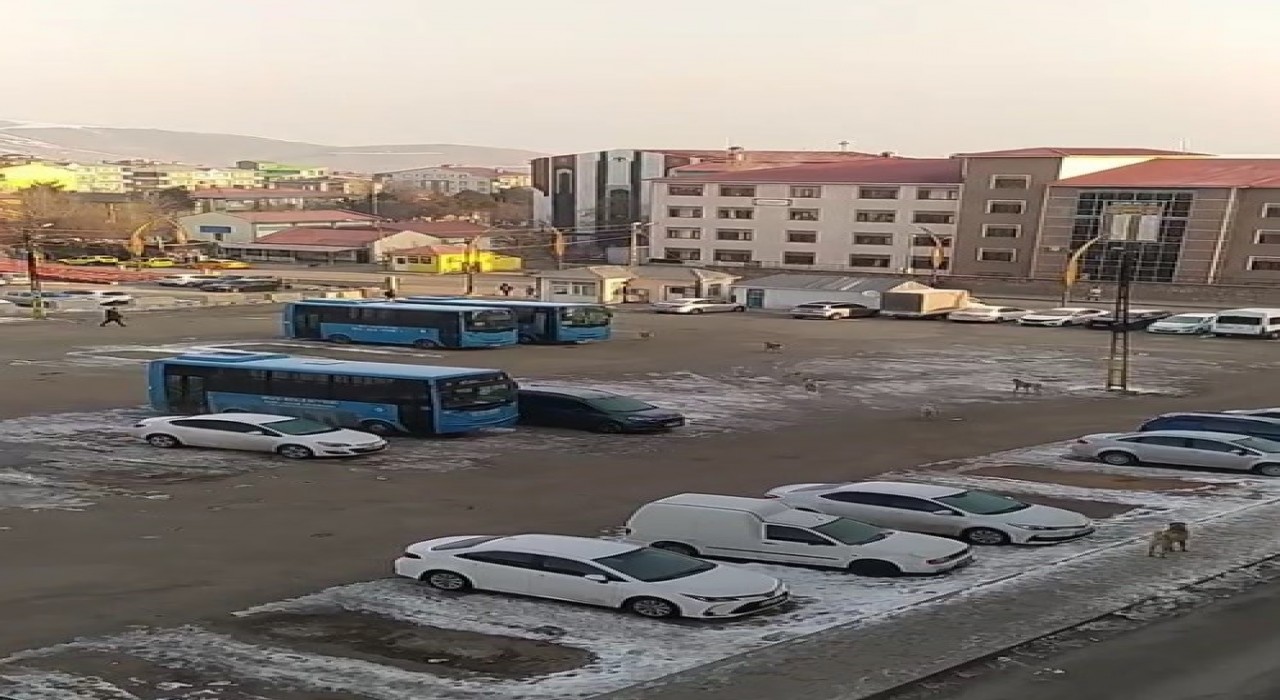 Muşta başıboş köpeklerden kaçan öğrenci yere kapaklandı