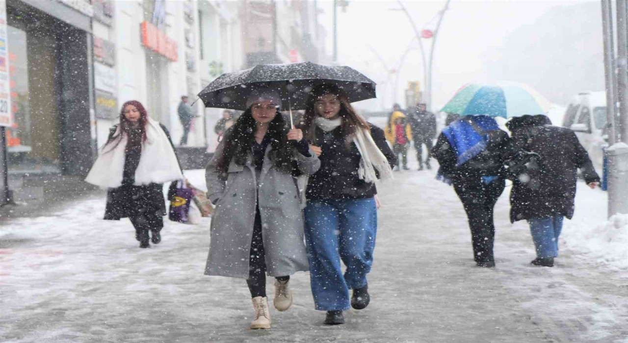 Muşta kar yağışı