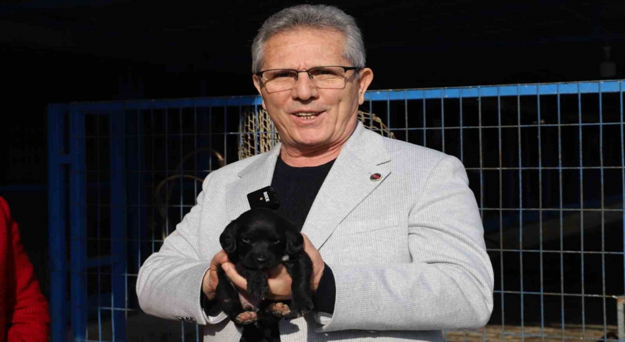 Nazilli Belediyesinden sokak hayvanları için sahiplendirme kampanyası