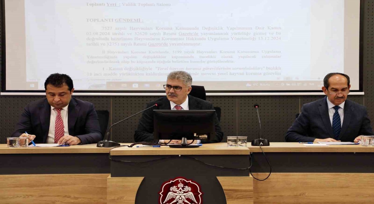 Niğdede başıboş hayvanlar için doğal yaşam alanı oluşturulacak