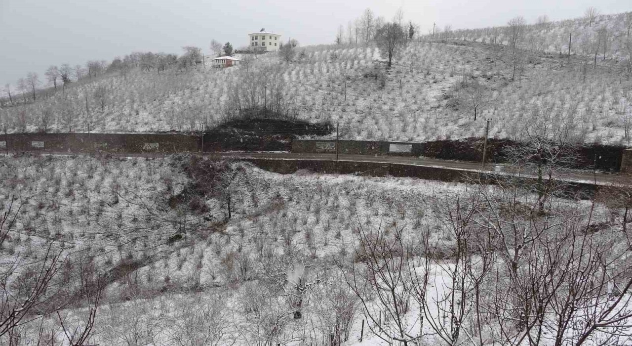 ‘Orduda etkili olan kar fındık için zararlı değil, yararlı