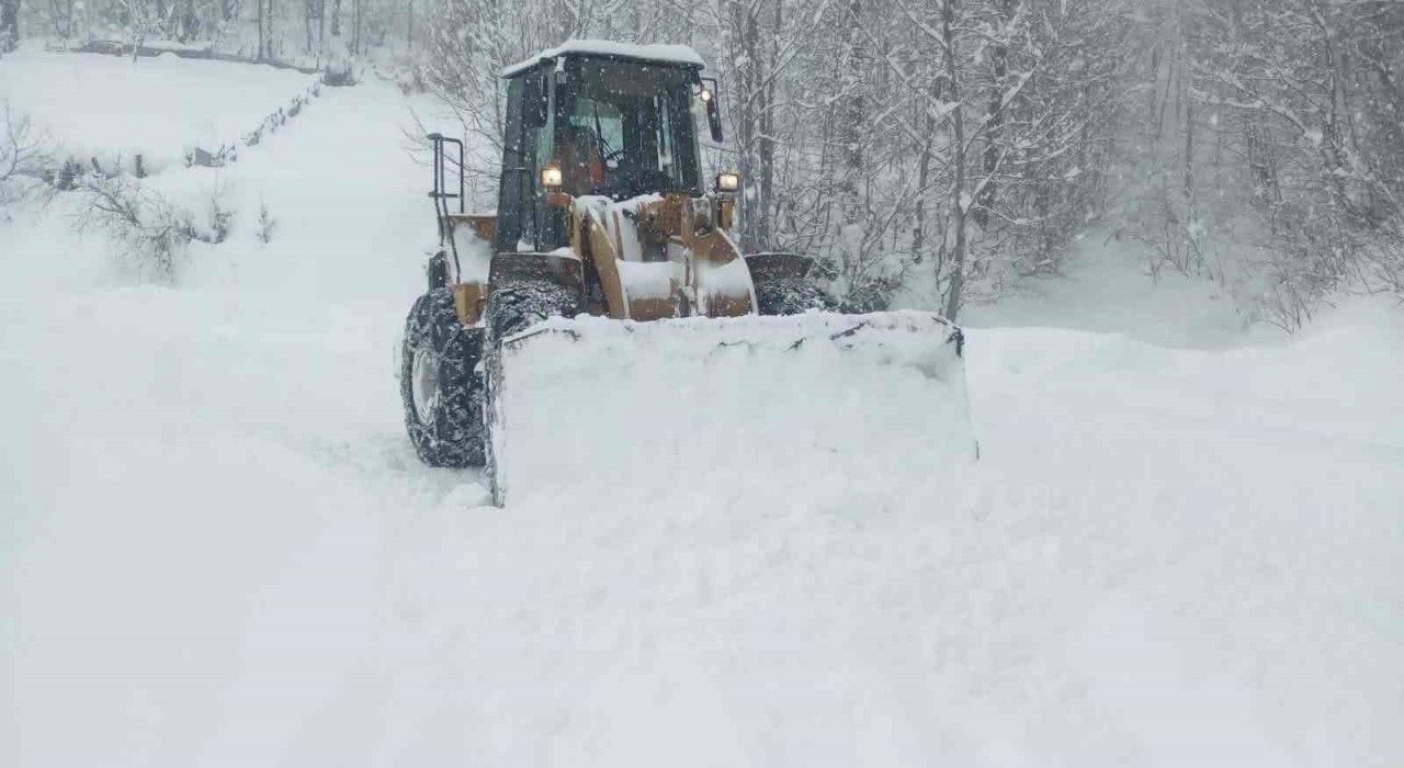 Orduda kara kış: Kapanan 633 mahalle yolundan 620si açıldı
