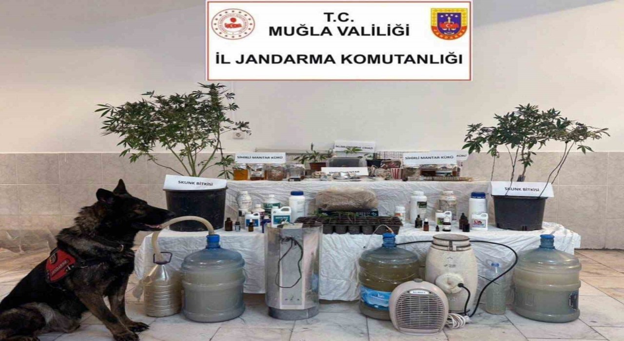 Ortacada uyuşturucu üretim düzeneği ele geçirildi