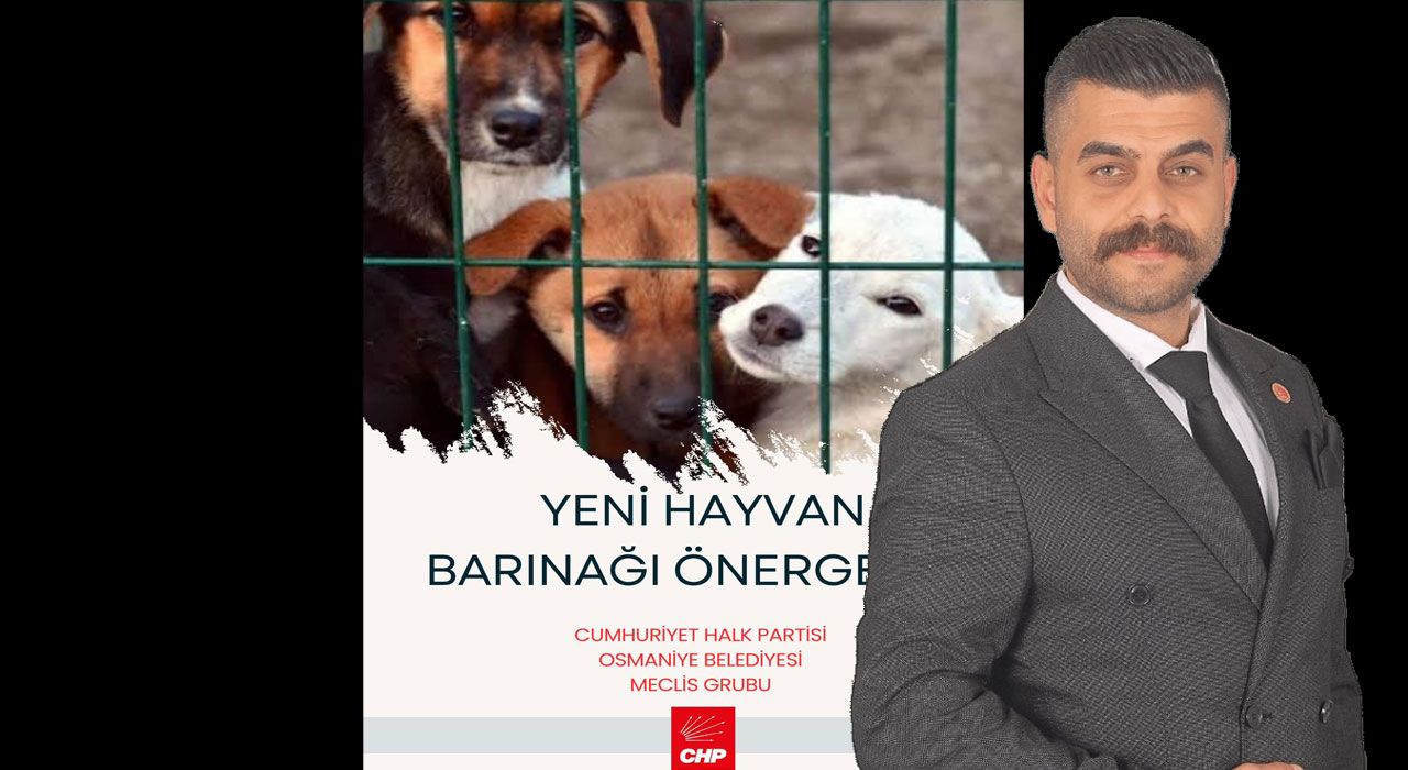 Osmaniye’de Yeni Hayvan Barınağı İçin Harekete Geçiliyor