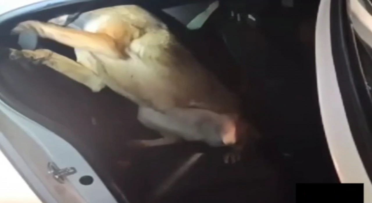 Otomobilin direğine zulalanmış uyuşturucuyla yakalanan 3 sanığa ceza yağdı