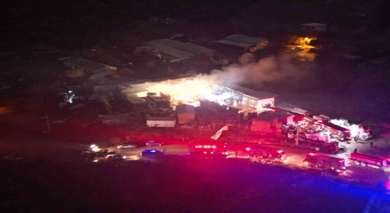 Palet fabrikasında çıkan yangın 2 saatte kontrol altına alındı: 1 kişi yaralandı