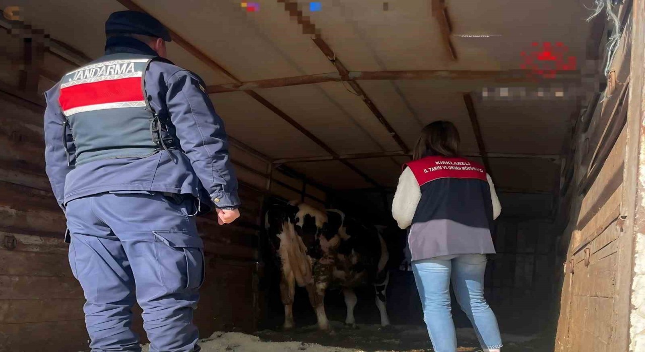 Pehlivanköyde hayvan taşıyan araçlar denetlendi
