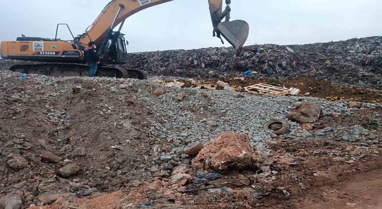 Pestisit kimyasal maddesi tespit edilen 55 ton limon imha edildi