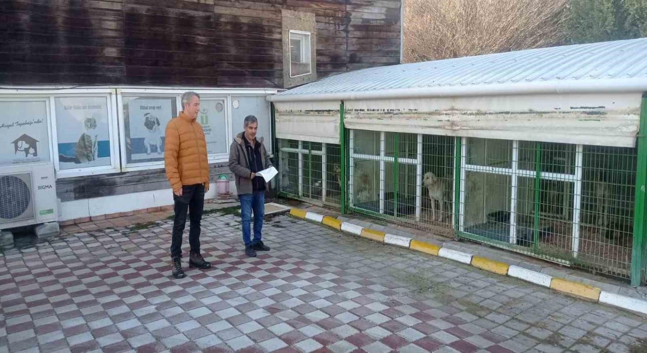 Petshop ve benzeri işletmelere yönelik denetim