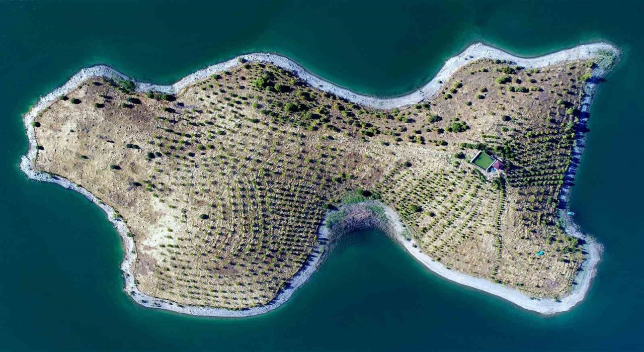 Robinson Crusoe Ziya dede hastalandı, adaya belediye başkanı sahip çıktı
