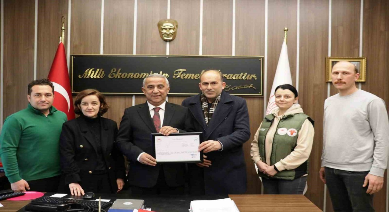 Samsundaki hastalıktan ari işletme sayısı 8e yükseldi